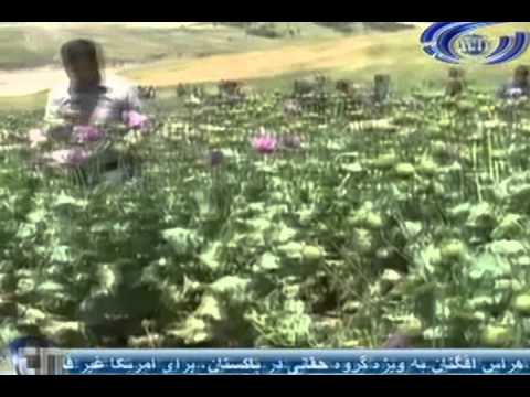 Ariana News 07 June 2012 Part Two- DARI