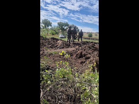 Border Patrol topples four 200-year-old cottonwood trees