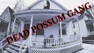 Dead Possum Gang