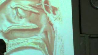 Dr Sherif Glal Neck 14 - muscles of pharynx part 1