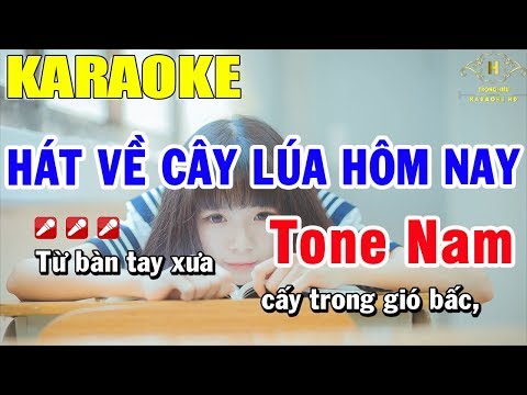 Karaoke Hát Về Cây Lúa hôm Nay Tone Nam Nhạc Sống | Trọng Hiếu