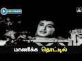 மாணிக்க தொட்டில் Maanicka Thottil Panam Padaithavan Video Song MGR TMS