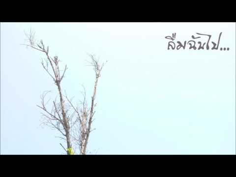 ฉันกลัวที่จะนอนหลับหน้าอกเล็ก เด็ก 1 เดือน 1 หน้าอกขนาดเล็ก