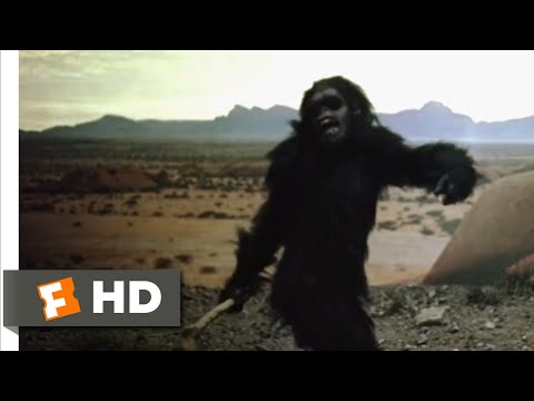 2001: A Space Odyssey (1968) - From Bone to Satellite Scene (1/6) | Movieclips