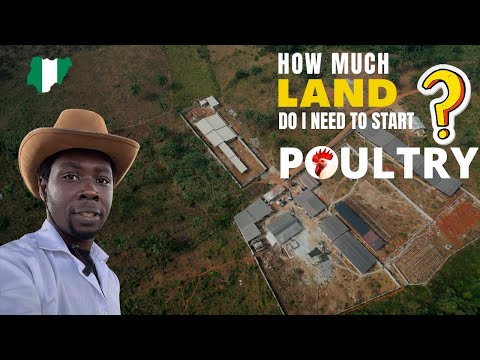 How Much Land Do I Need to Start a Poultry Farm @EmperorkuyeFarms