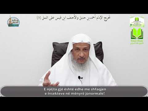 “Paralajmërimi i milingonës (buburrecit) nga Imam Ahmedi!”