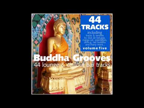 Buddha Grooves vol. 5. - Ecco Load - Nerono