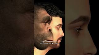 The current story of human evolution may be incomplete - David Reich