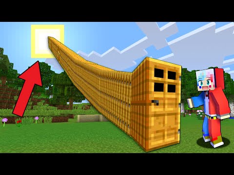 太陽に続く超長い変なドアを登ってみた結果⁉️【マイクラ マインクラフト】ぽっぴんず