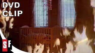 Fire Rescue [Subtitled]