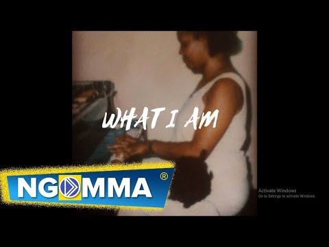 Sage - What I Am (Official Audio)