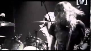 The Datsuns   In Love