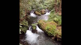 preview picture of video 'Parque Nacional de Uruapan'