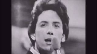 Outsiders  - Time Won&#39;t Let Me (1965)