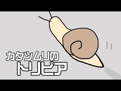 カタツムリには歯が何本ありますか?