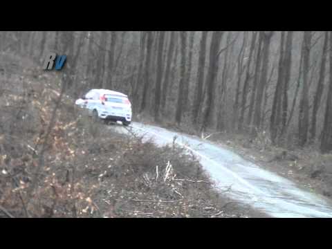 2012 Bozhane Tırmanma / Haldun Atik / Ford Fiesta ST