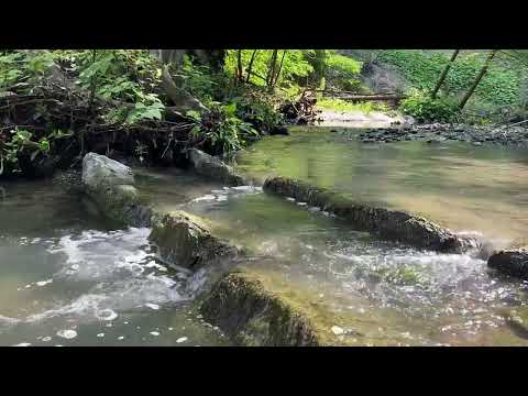 Meditation Practice: Body Scan - 10 min