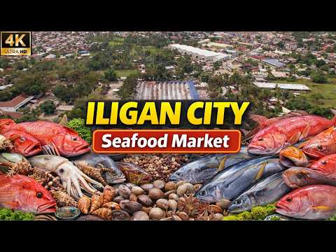 Iligan City Update: Seafood Prices & Supply After Typhoon Basyang