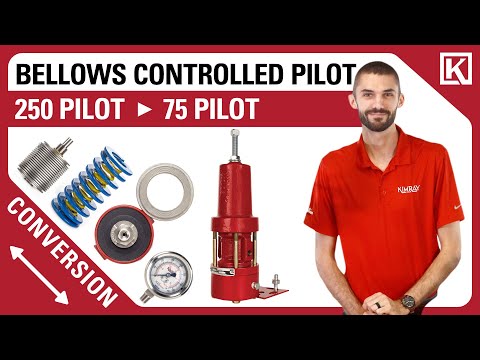 Full Port to Reduced Port Inner Valve Size Conversion for Kimray Back Pressure Regulators