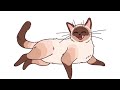 The Living Tombstone Cats 1 Hour