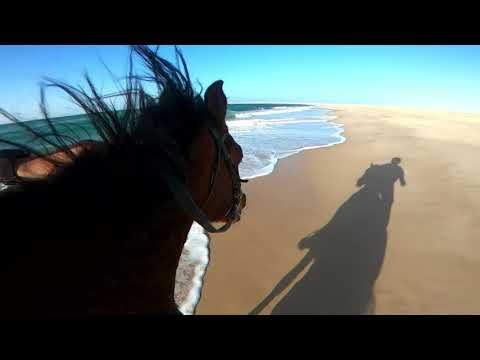 Horse riding beach Dakhla
