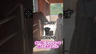 コミュ力人間突破の瞬間 #shorts