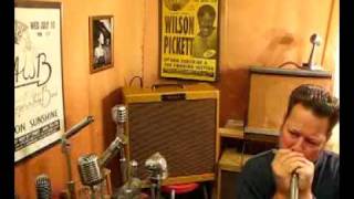 Video thumbnail for ElectroVoice EV 664A Dual-Z Dynamic Cardioid Vintage Microphone by GoldenBug