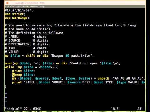 Beginner Perl Maven tutorial: 13.7 - Read fixed width records (unpack)