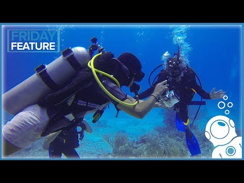 Why Becoming A Dive Master Sucks... (and also why it rules)
