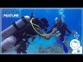 Why Becoming A Dive Master Sucks... (and also why it rules)