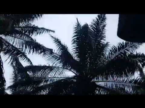 VLOG A PARRITA PUNTARENAS COSTA RICA. 