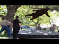 Top 5 Trampoline