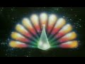 1979 KNBC Commercials Previews Quick Clips