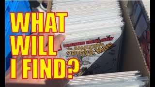 Hunting Comic Books @ Ohlone College Flea Market June 2025