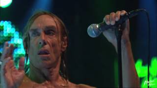 Iggy And The Stooges   Little Doll