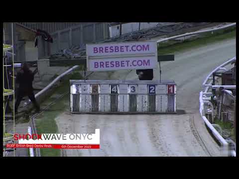 BGBF British Bred Derby Heat 4 - Shockwave Onyx