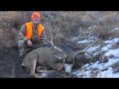 Monster Muleys
