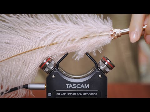 Tascam Showroom Asmr豪華機材プレゼント メディア出演 Showroom ショールーム Tascam Showroom Asmr豪華機材プレゼント メディア出演 Showroom ショールーム