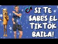 SI TE SABES EL TIKTOK BAILA 2026
