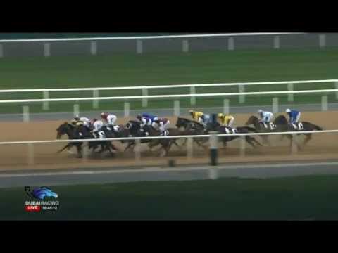 29.01.2015 Meydan (Dubai/UAE) 1.Race Emirates Global Aluminium - Handicap 1.900 m