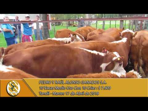 17-04-18 Venta de Vientres - Pedro y Raúl Alonso Ganados S.A. - Tandil