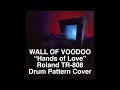 Wall of Voodoo - Hands of Love (Roland TR-808 Cover)