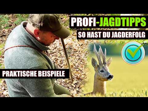 Hunting 2024: Top 10 professional tips for roe deer hunting for every hunter with Heiko Hornung!