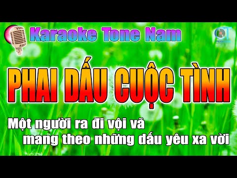 Phai Dấu Cuộc Tình Nhạc Hoa Lời Việt 8x 9x Tone Nam | Làng Hoa Karaoke