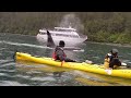 Orca Encounter on Kayaks