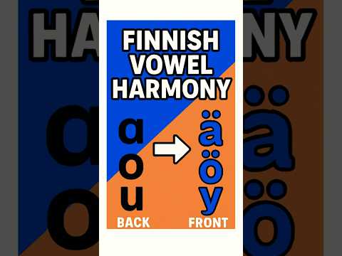 Finnish Vowel Harmony Explained in 20 Seconds | Learn Finnish Fast