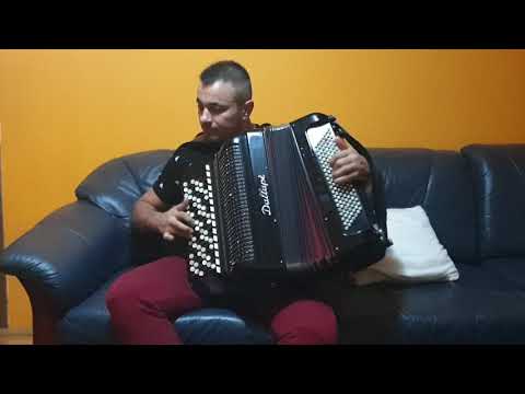 Kalemegdansko -KOLO-KUTA🐈