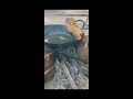 Balla Suma Vlogs Live Pindi Vantalu