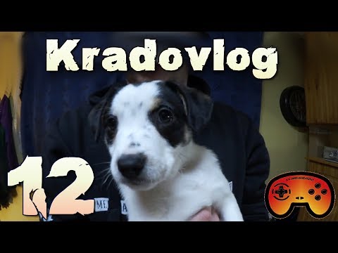 Wir besuchen Kromdog und Krom bekommt seine Pornokarte :-))