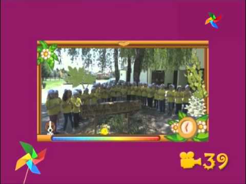 POŠALJI SVOJ VIDEO - DV Sesvete (Eko znalac)